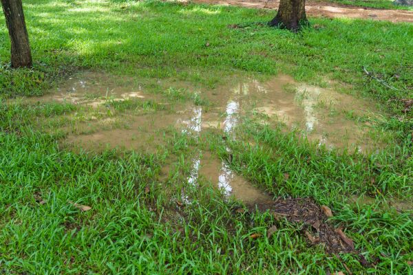 Cost of Storm Water Drainage Service in Goldsboro