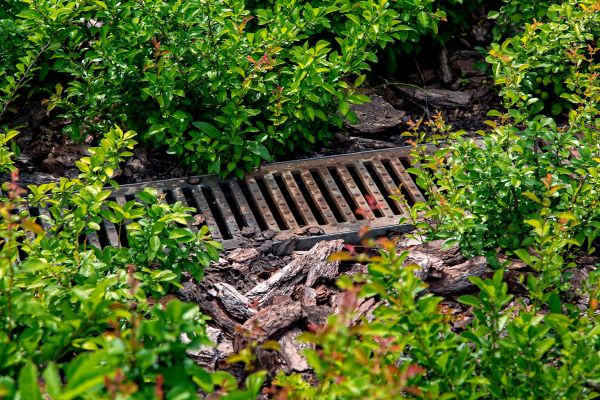 Cost of Underground Drainage Service in Goldsboro