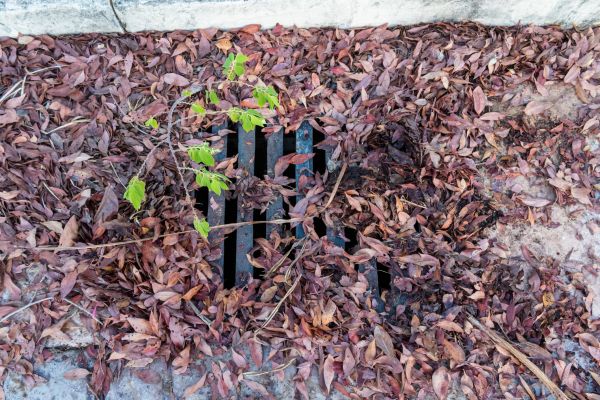 Cost of Yard Drain Unclogging in Goldsboro
