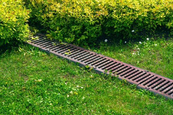 Cost of Lawn Drainage in Goldsboro