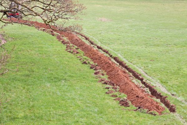 Cost of Swale Installation in Goldsboro