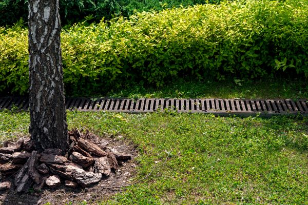 Garden Drainage Installation in Goldsboro