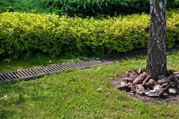 Cost of Residential Landscape Drainage in Goldsboro