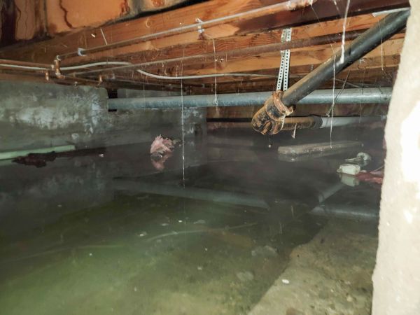 Cost of Crawlspace Drainage in Goldsboro