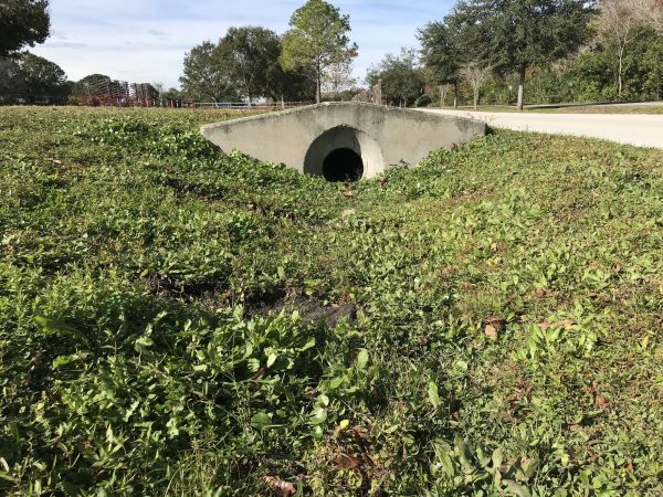 Cost of Swale Drainage Service in Goldsboro